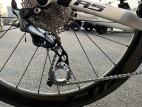 derailleur cage