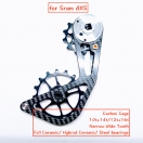 Carbon Derailleur Cage for Sram AXS