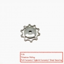 10t Titanium Pulley