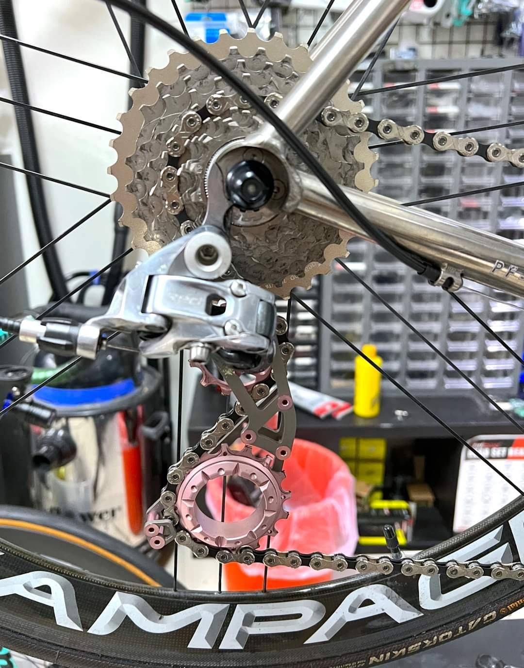derailleur cage Titanium